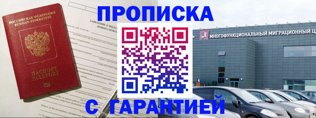 прописка поиск в Елизово